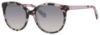 Picture of Kate Spade Sunglasses AMAYA/S