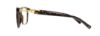 Picture of Michael Kors Eyeglasses MK8018 Sabina IV