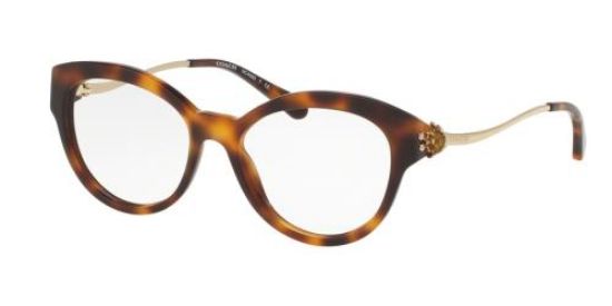 Picture of Coach Eyeglasses HC6093