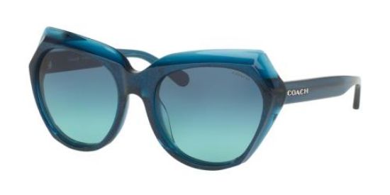Picture of Coach Sunglasses HC8193 L1615