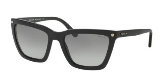 Picture of Coach Sunglasses HC8191 L1612
