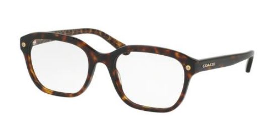 Picture of Coach Eyeglasses HC6094F
