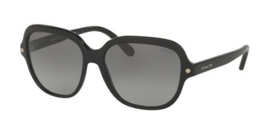 Picture of Coach Sunglasses HC8192 L1613