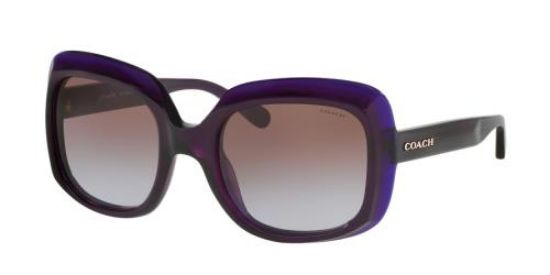 Picture of Coach Sunglasses HC8194 L1616