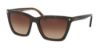 Picture of Coach Sunglasses HC8191 L1612