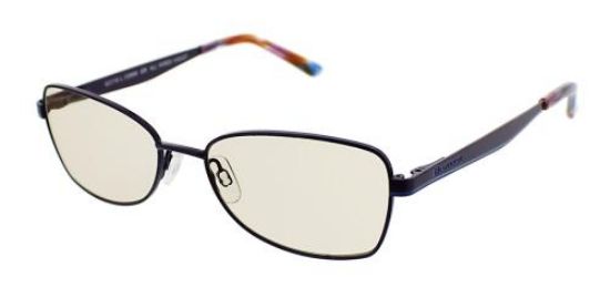 Picture of Blutech Eyeglasses ALL WIRED