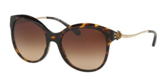 Picture of Coach Sunglasses HC8189 L1610