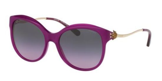 Picture of Coach Sunglasses HC8189F