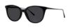 Picture of Vera Wang Sunglasses AKIRA