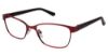 Picture of Nicole Miller Eyeglasses Eldridge