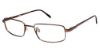 Picture of Aristar Eyeglasses AR 16204