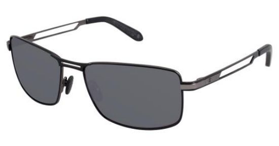 Picture of Champion Sunglasses 6029