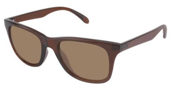 Picture of Champion Sunglasses 6009