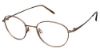 Picture of Aristar Eyeglasses AR 16216