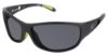 Picture of Champion Sunglasses 6021