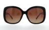 Picture of Coach Sunglasses HC8158F L559