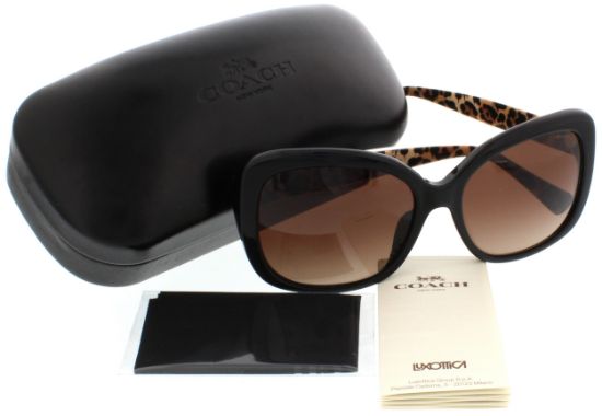 Picture of Coach Sunglasses HC8158F L559
