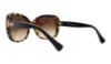 Picture of Coach Sunglasses HC8158 L139