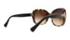 Picture of Coach Sunglasses HC8158 L139