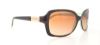 Picture of Ralph Sunglasses RA5130