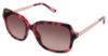 Picture of Nicole Miller Sunglasses Marcy