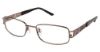 Picture of Aristar Eyeglasses AR 16353