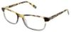 Picture of Steve Madden Eyeglasses DAAPPER