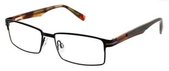 Picture of Steve Madden Eyeglasses LUMMBER