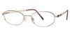 Picture of Aristar Eyeglasses AR 6891