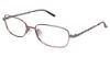 Picture of Elle Eyeglasses EL 13366
