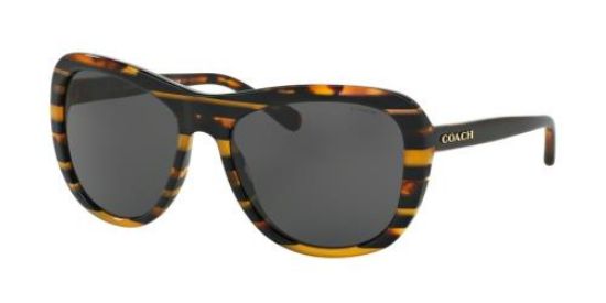Picture of Coach Sunglasses HC8202 L1629