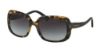 Picture of Coach Sunglasses HC8178 L1591