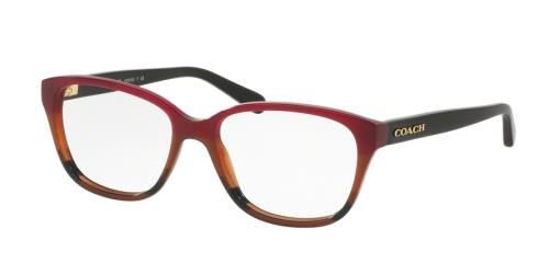 Picture of Coach Eyeglasses HC6103