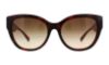 Picture of Versace Sunglasses VE4314