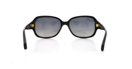 Picture of Coach Sunglasses HC8015