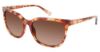 Picture of Isaac Mizrahi Sunglasses IM 30207