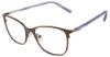 Picture of Converse Eyeglasses Q202