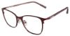 Picture of Converse Eyeglasses Q202