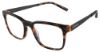 Picture of Converse Eyeglasses Q306