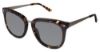 Picture of Ann Taylor Sunglasses AT510