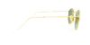Picture of Ray Ban Sunglasses RB3447