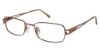 Picture of Aristar Eyeglasses AR 16316