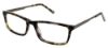 Picture of Junction City Eyeglasses WILSHIRE PARK