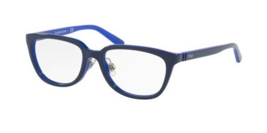 Picture of Polo Eyeglasses PP8528