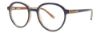 Picture of Penguin Eyeglasses THE SURPRISE