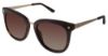 Picture of Ann Taylor Sunglasses AT510