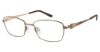 Picture of Charmant Eyeglasses TI 12139