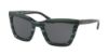 Picture of Coach Sunglasses HC8203