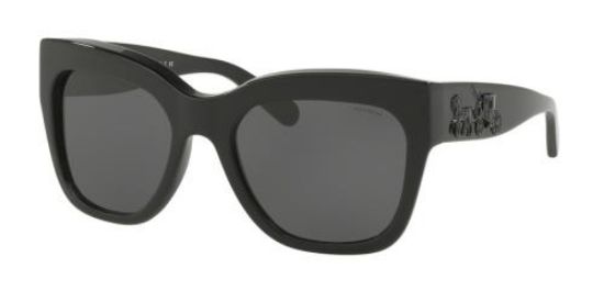 Picture of Coach Sunglasses HC8213
