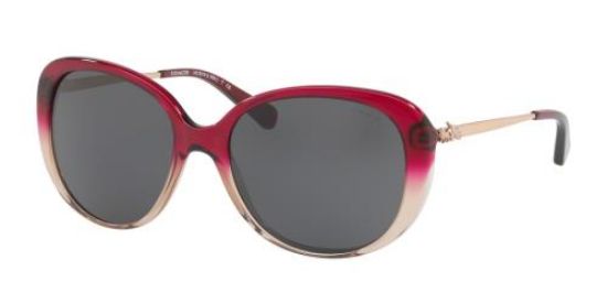 Picture of Coach Sunglasses HC8215F